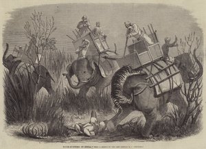 Caza de tigres en India de George Francklin Atkinson